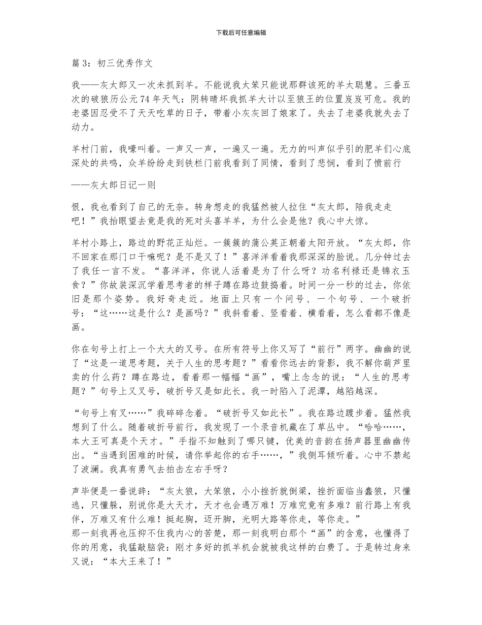 优秀作文初三_第3页