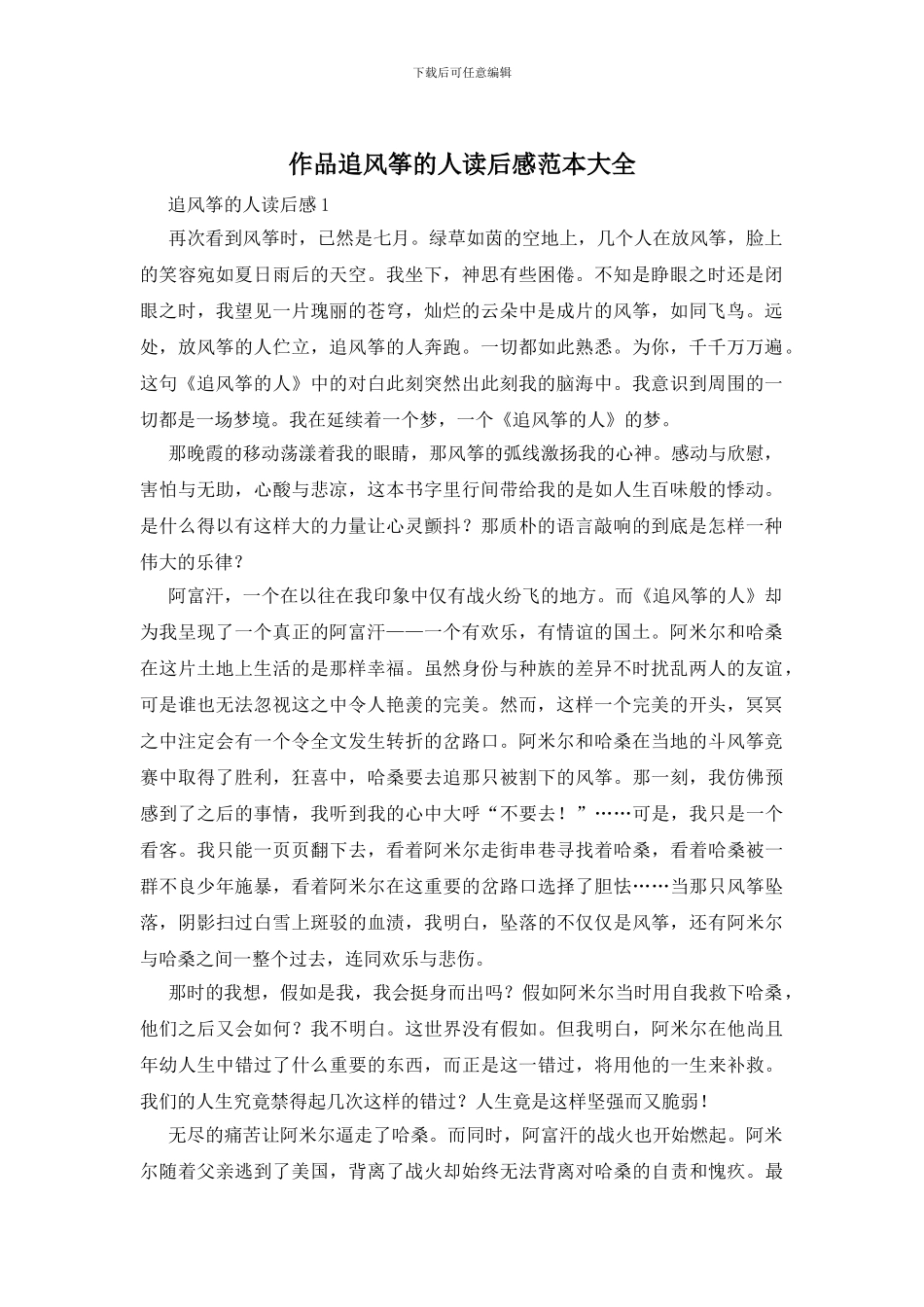 作品追风筝的人读后感范本大全_第1页