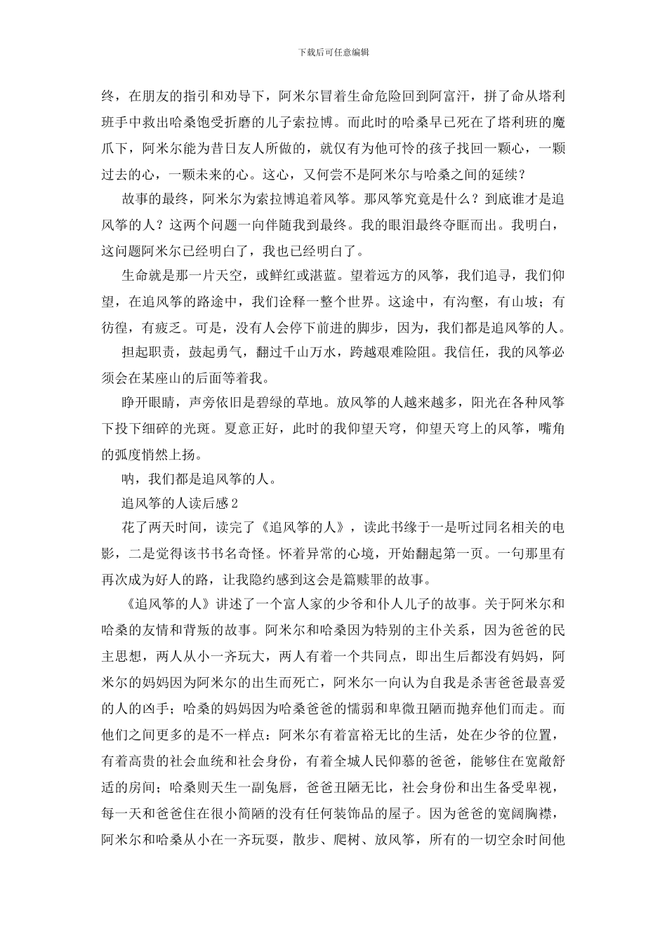 作品追风筝的人读后感范本大全_第2页