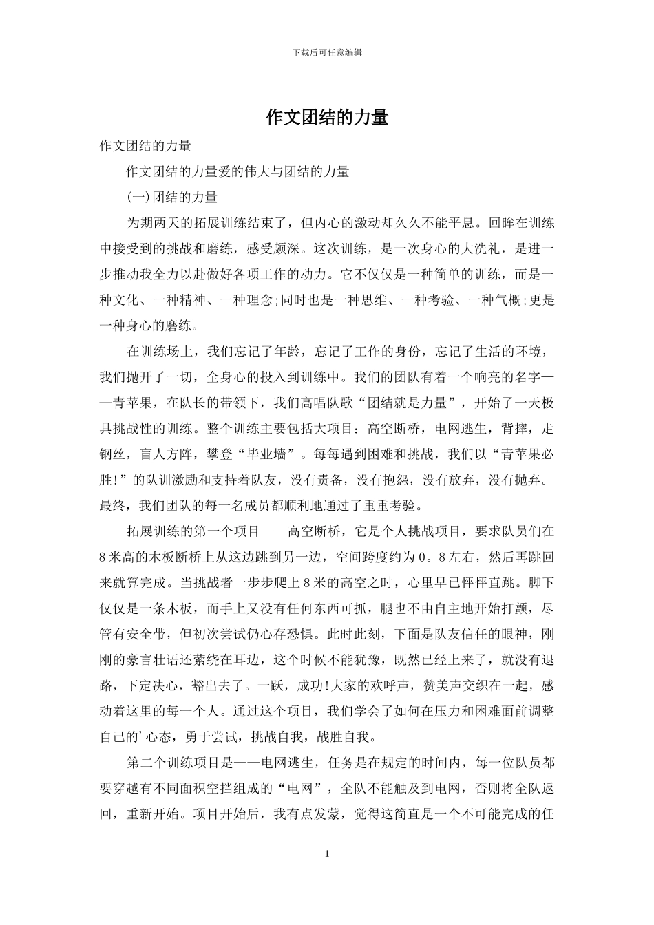 作文团结的力量_第1页