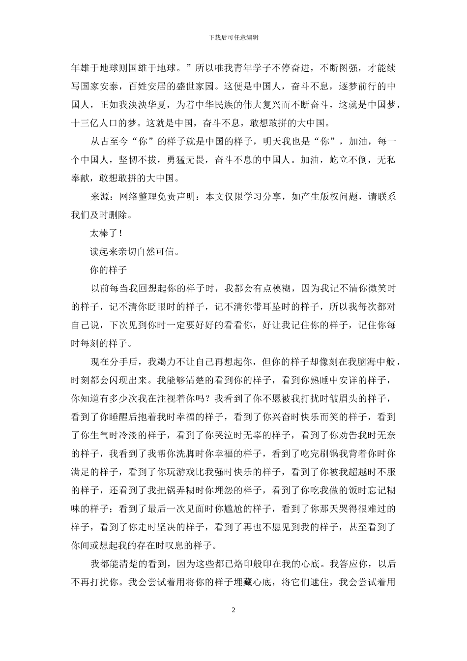 你样子就是中国样子_第2页