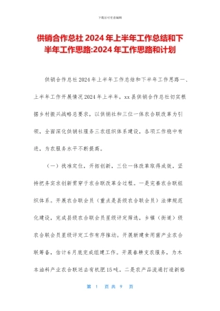 供销合作总社2024年上半年工作总结和下半年工作思路-2024年工作思路和计划