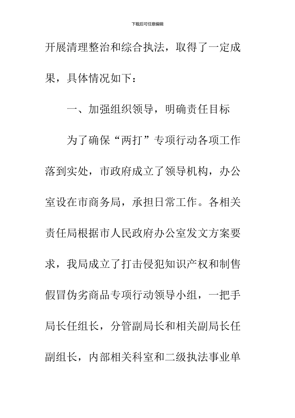 侵犯知识产权整治工作汇报_第2页