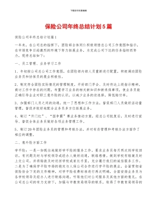保险公司年终总结计划5篇