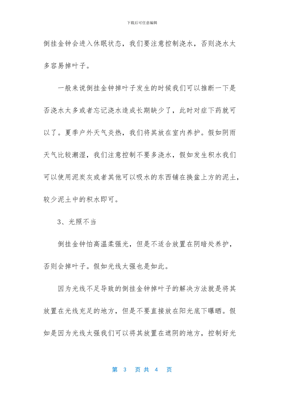 倒挂金钟叶子都掉没了_第3页