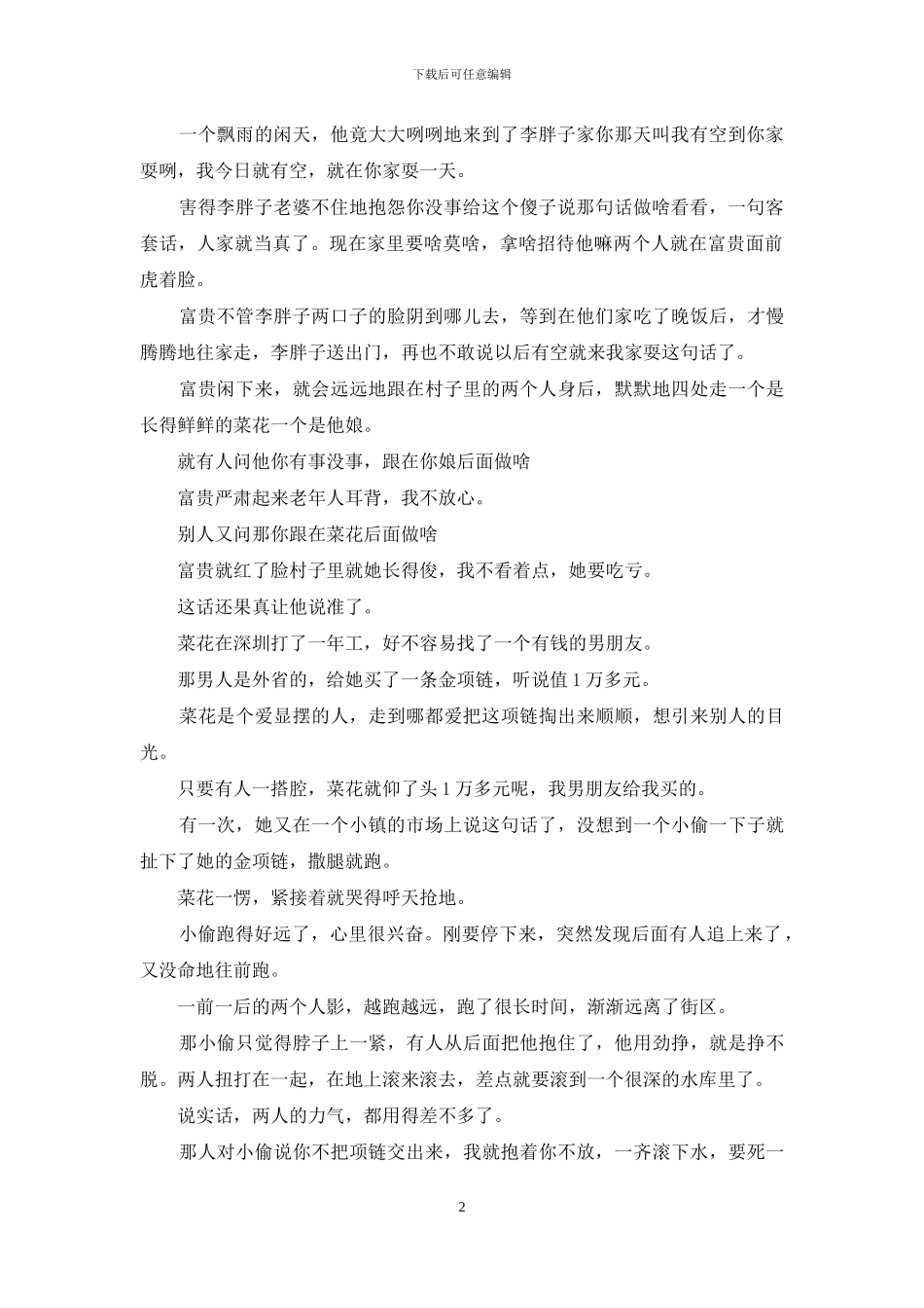 傻子说没有的故事_第2页