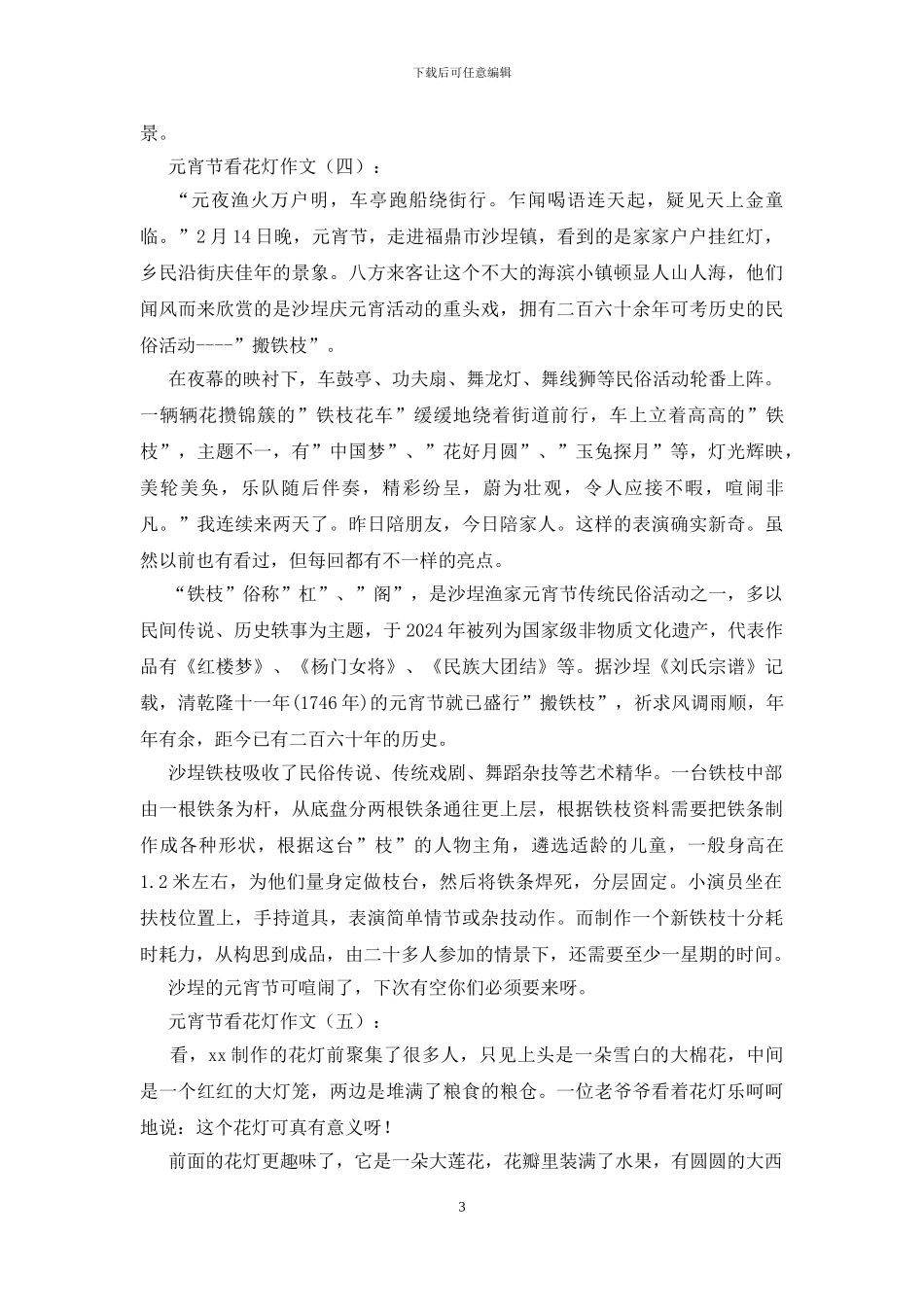 元宵节看花灯_第3页