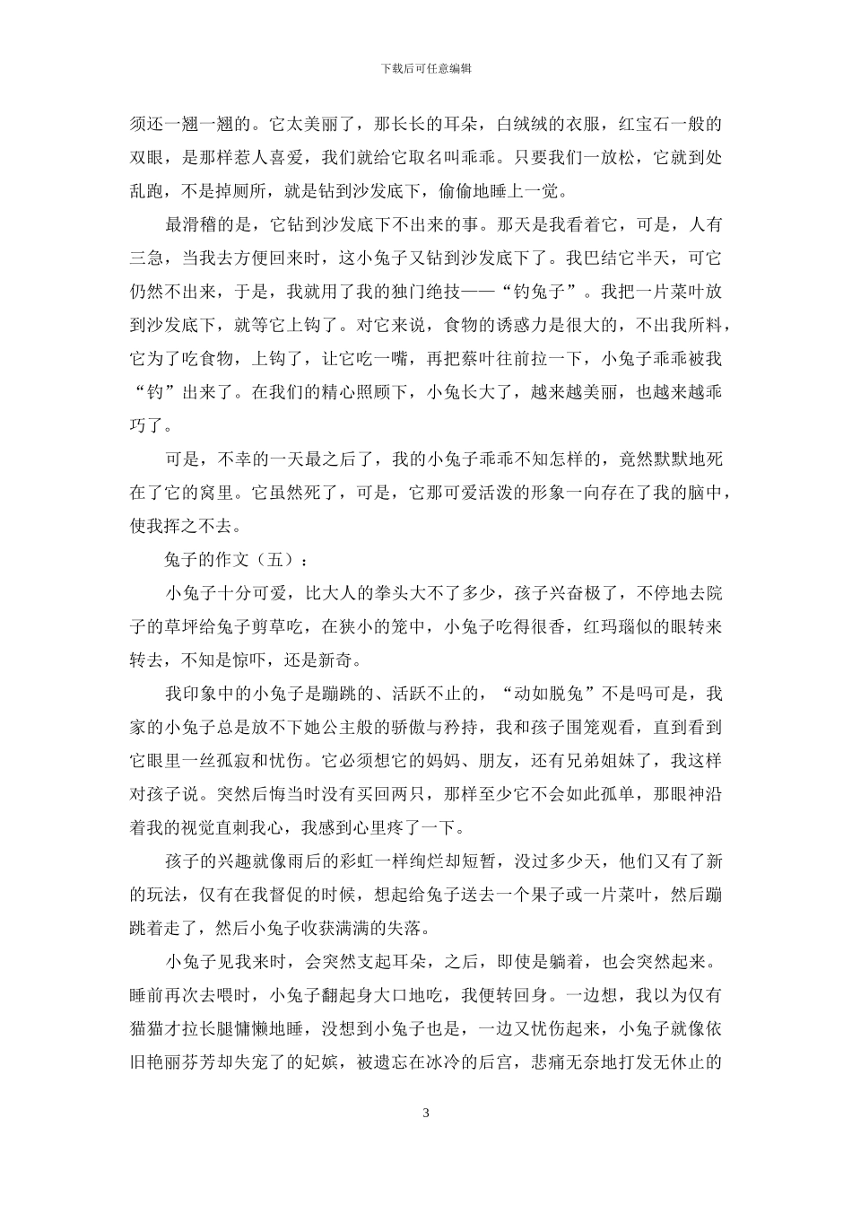 兔子的作文精选15篇2024年_第3页
