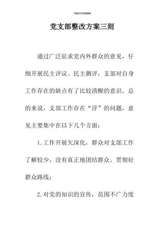 党支部整改方案三则