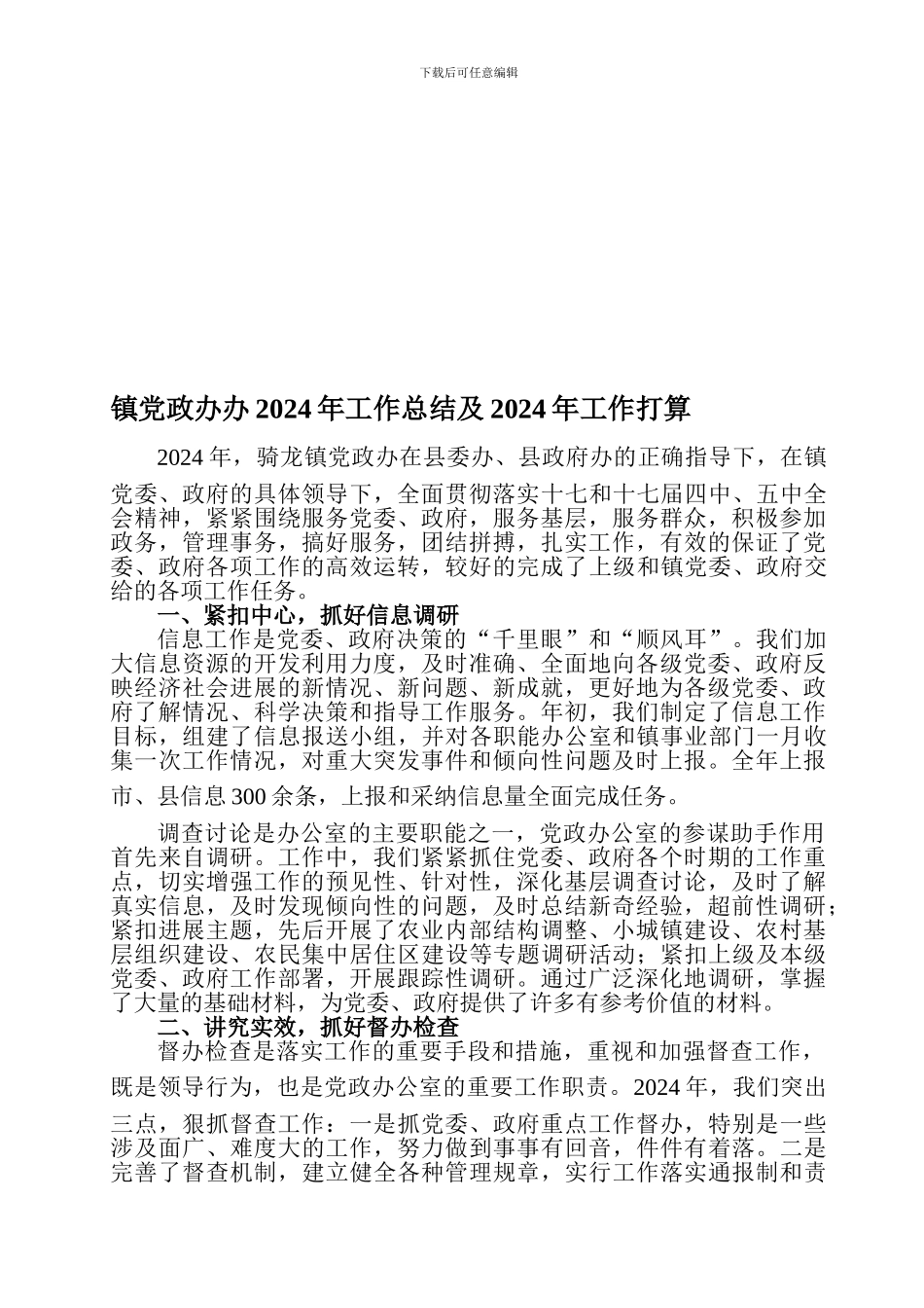 党政办公室2024年工作总结_第1页