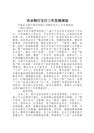 农业银行支行三年发展规划