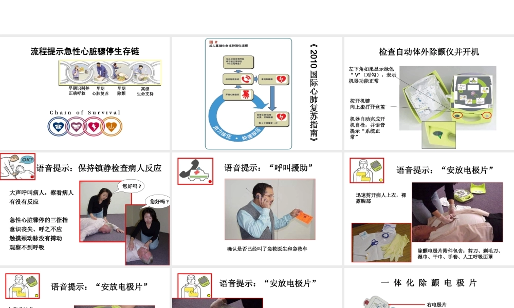 AED使用指南-课件