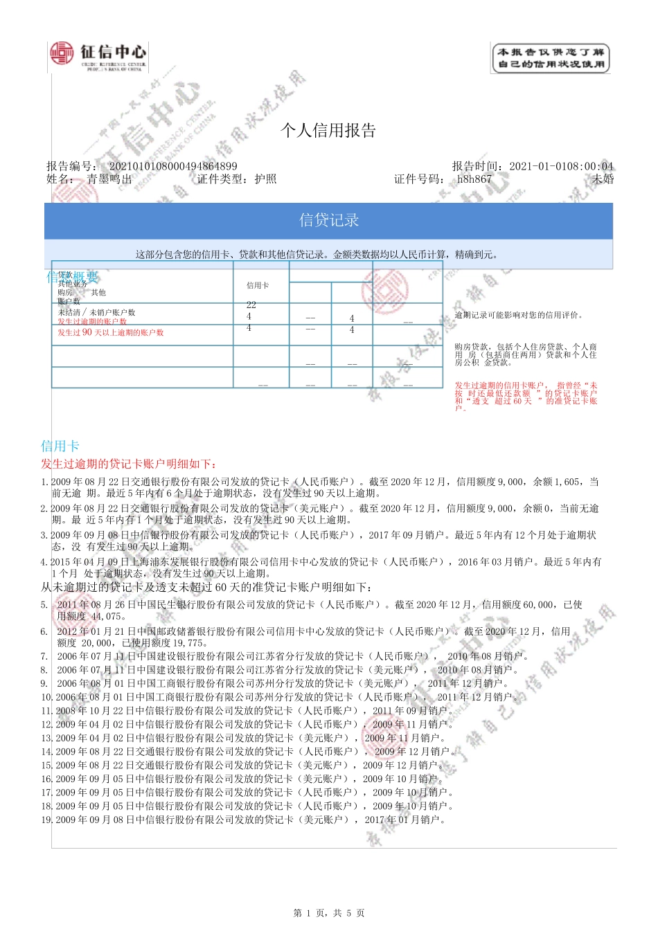 个人征信报告模板征信报告模板(2021简版带水印)_第1页