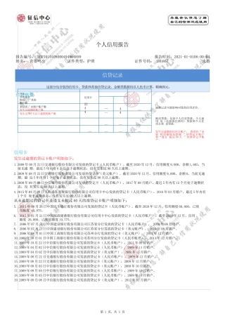 个人征信报告模板征信报告模板(2021简版带水印)