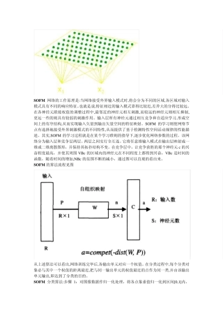SOFM算法