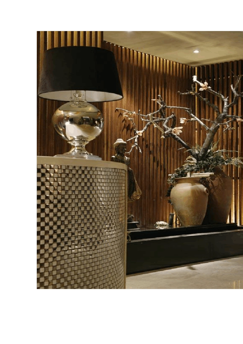 SPA会所设计说明_第2页