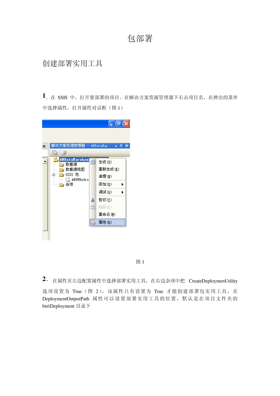 SSIS包的部署、配置、定期执行1_第1页