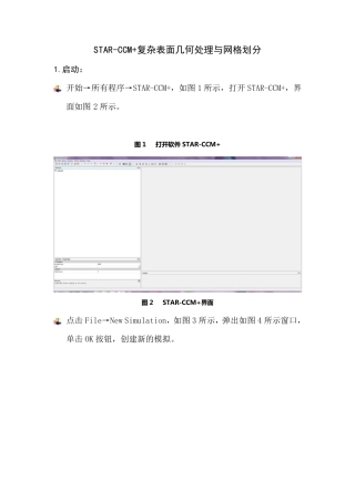 STARCCM+复杂表面几何处理与网格划分