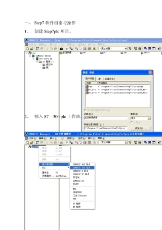 Step7300软件组态与操作