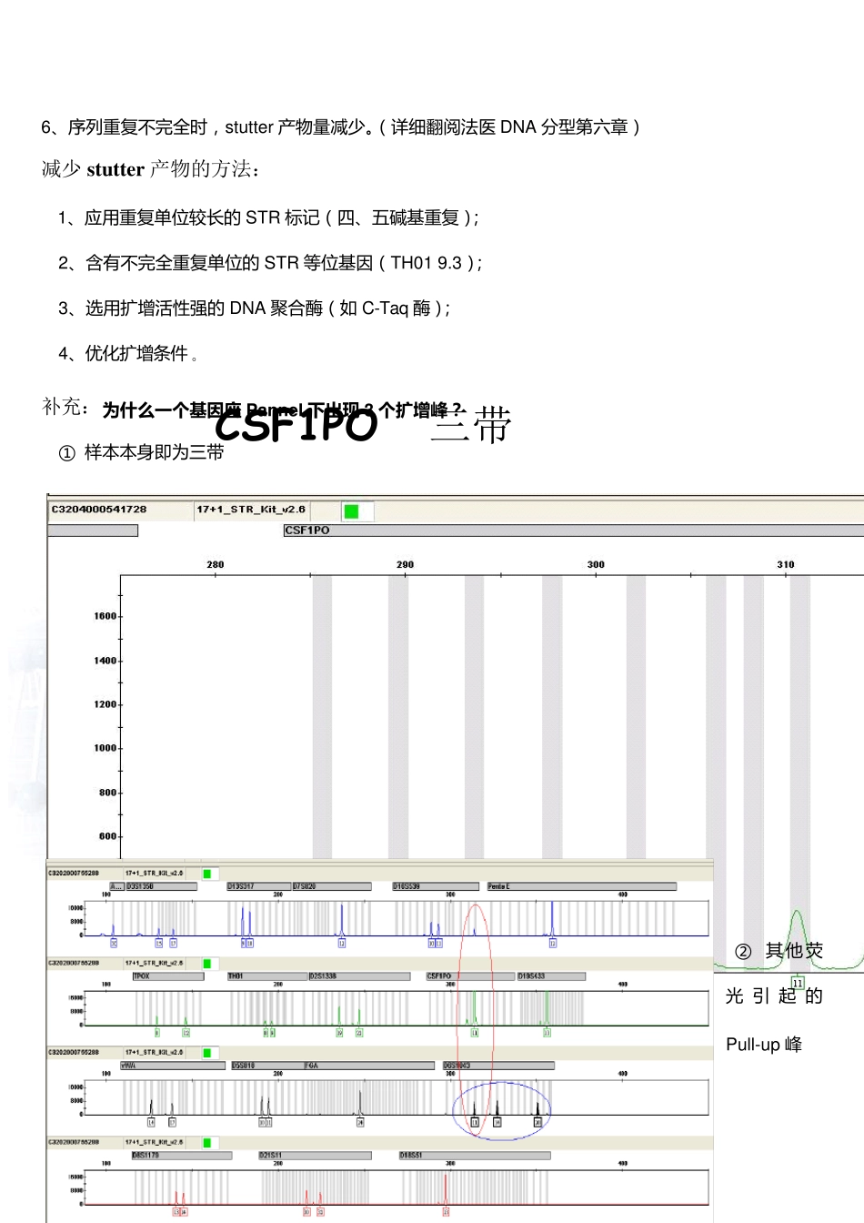 STR常见问题_第3页