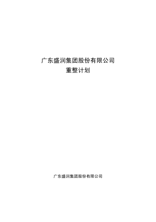 ST盛润A：重整计划20101028