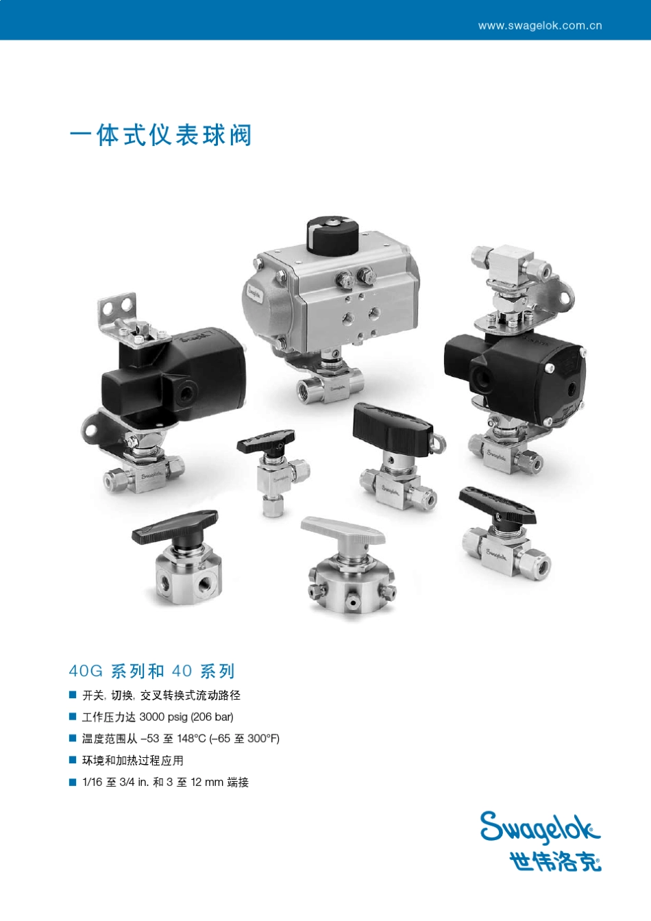 swagelok一体式仪表球阀_第1页