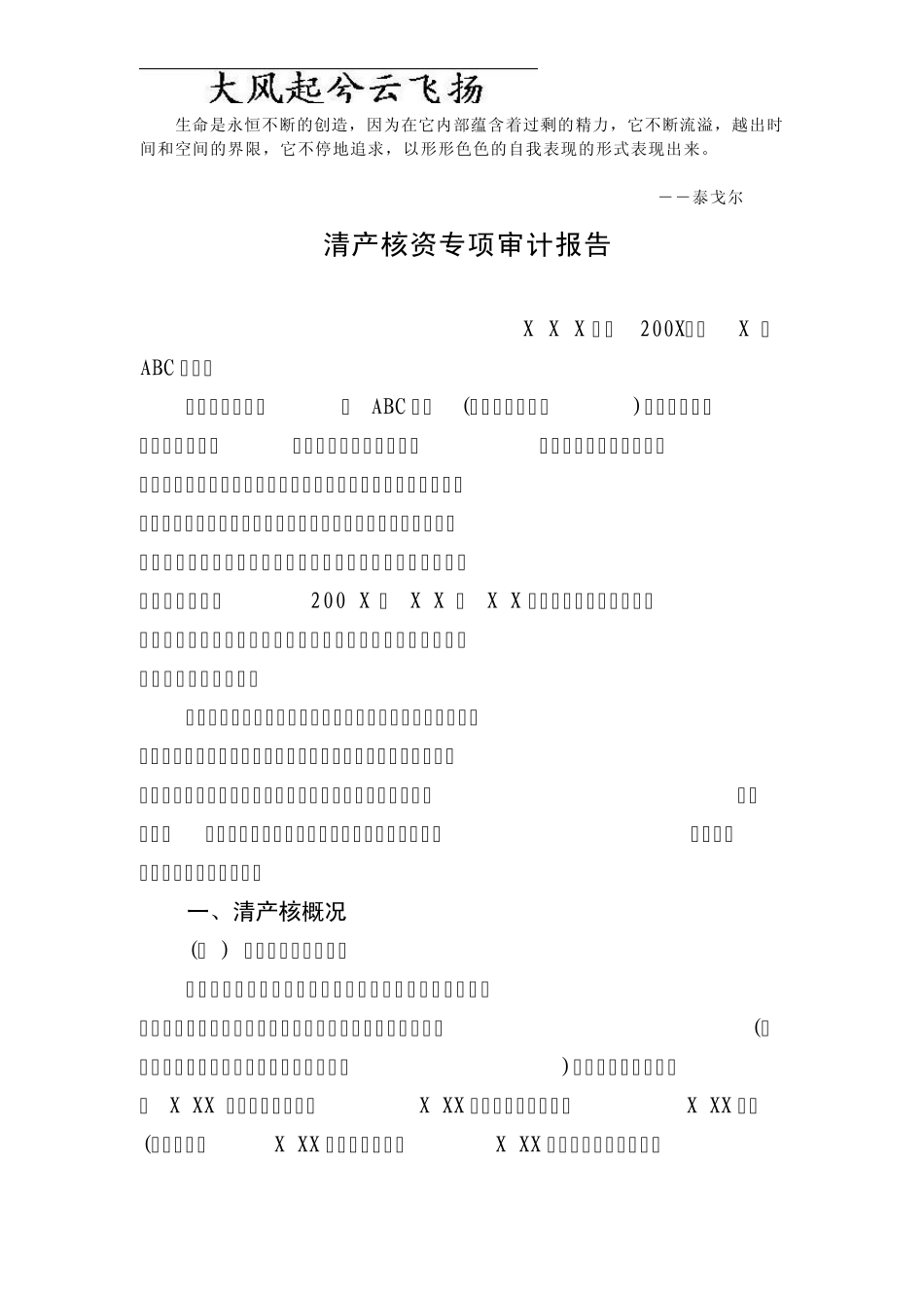 Sykxwq清产核资专项审计报告_第1页