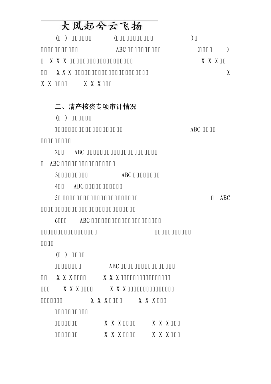 Sykxwq清产核资专项审计报告_第3页