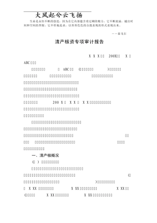 Sykxwq清产核资专项审计报告