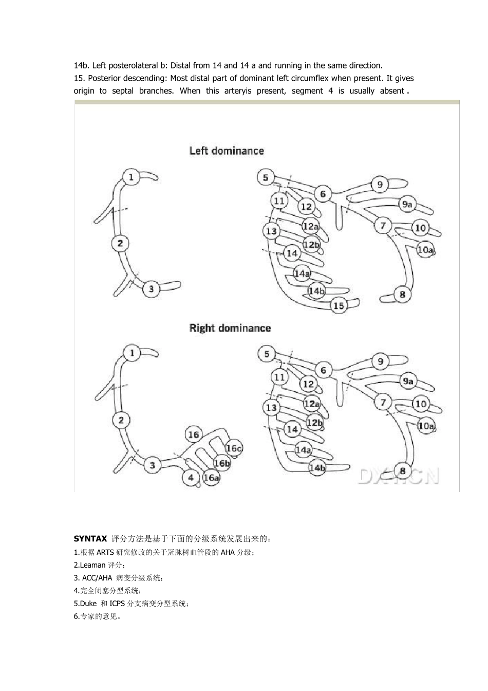 syntax评分系统方法及意义_第2页