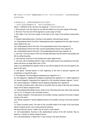 syntax评分系统方法及意义