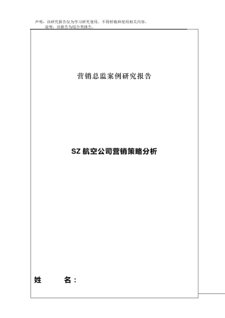 SZ航空公司营销策略分析