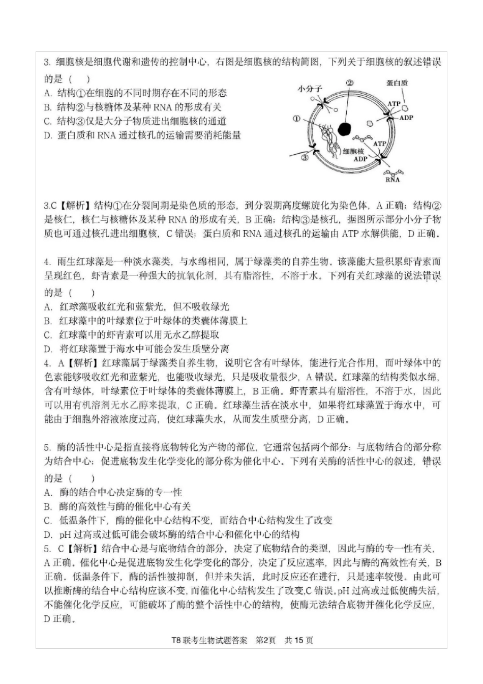 T8联考八校2021届高三第一次联考生物试题(含答案解析)_第2页