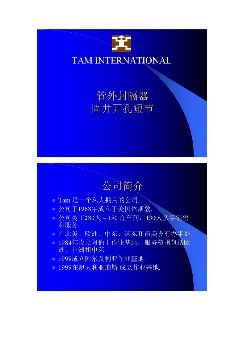 TAMInternational打压膨胀式封隔器和遇油水自膨胀封隔器_第1页