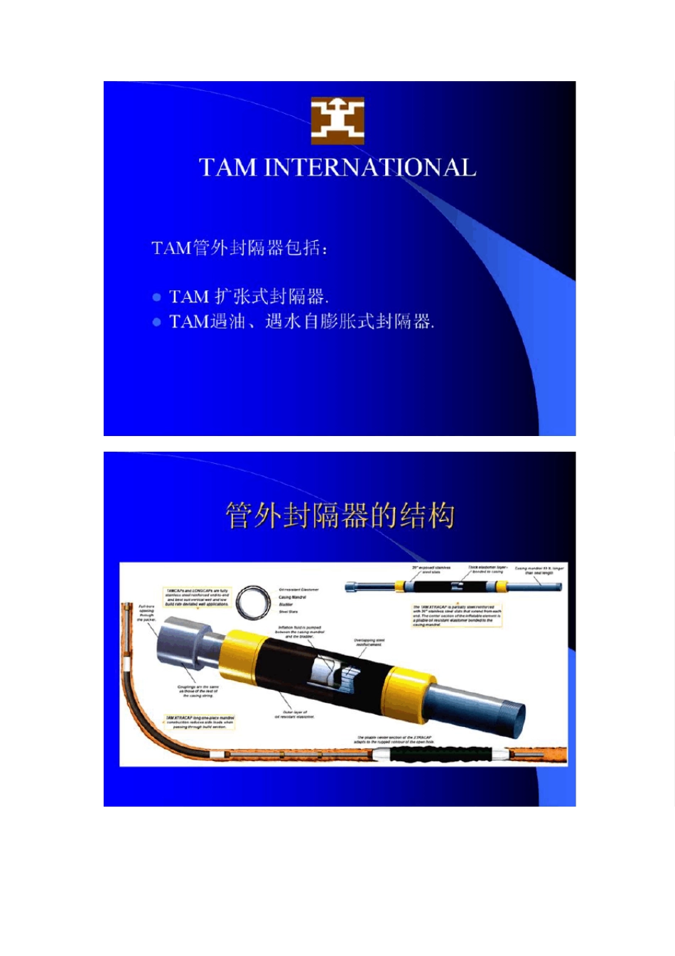 TAMInternational打压膨胀式封隔器和遇油水自膨胀封隔器_第2页