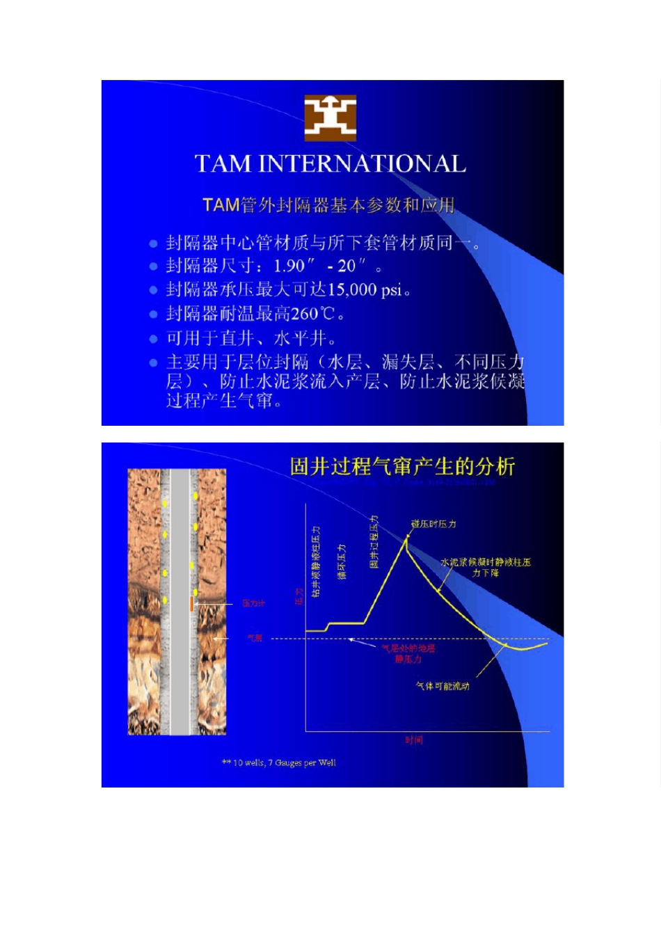 TAMInternational打压膨胀式封隔器和遇油水自膨胀封隔器_第3页