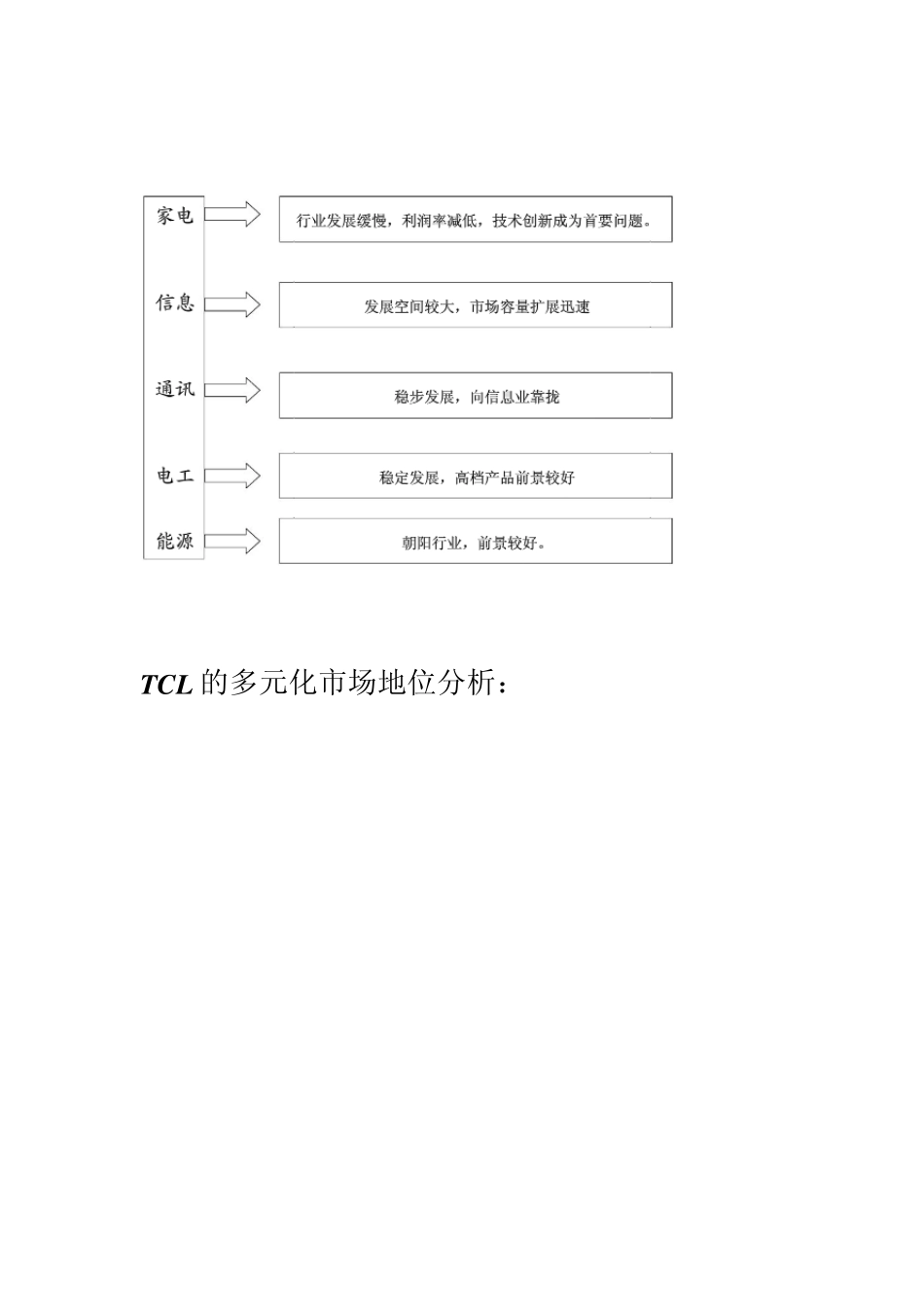 TCL战略实施_第2页