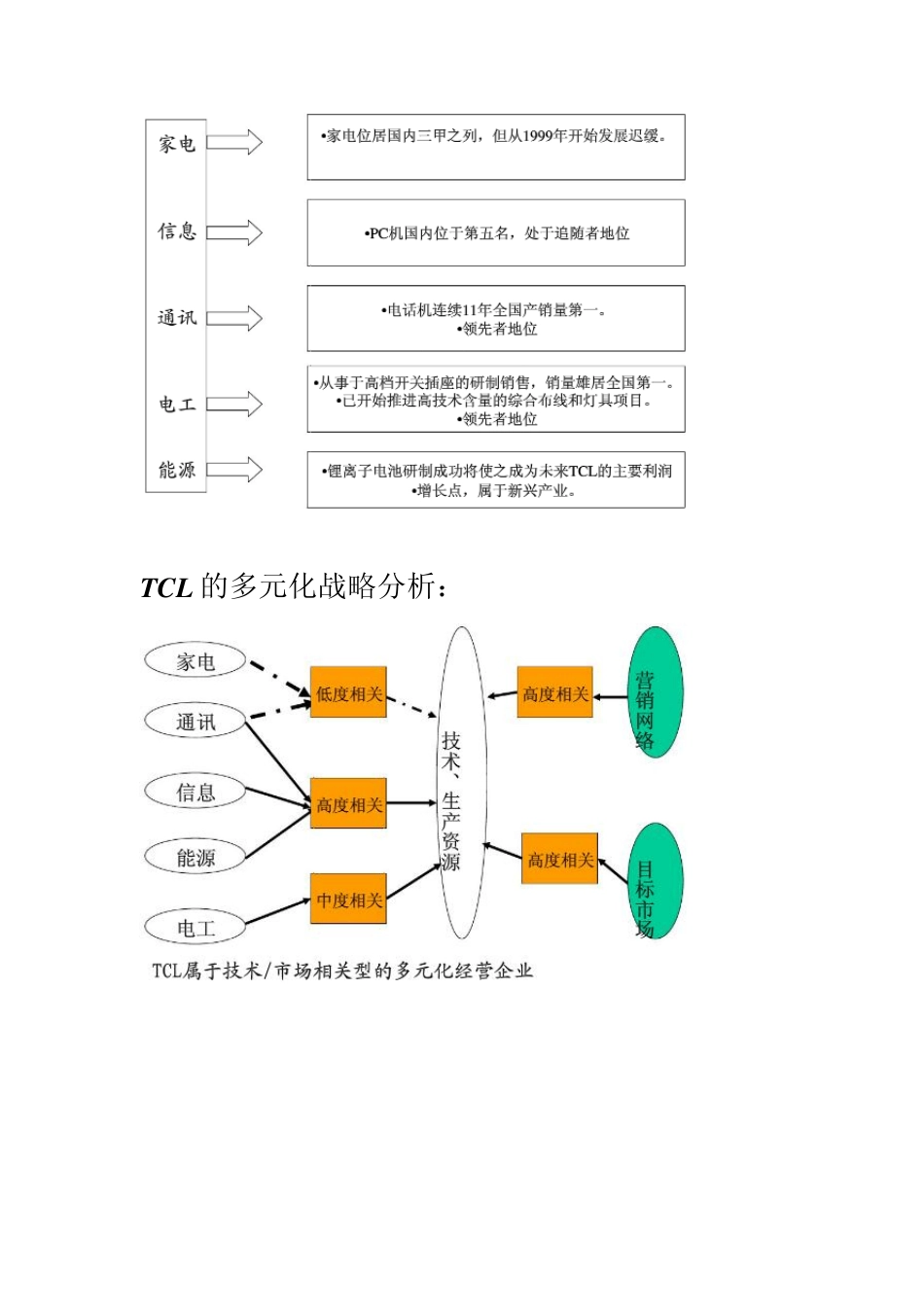 TCL战略实施_第3页