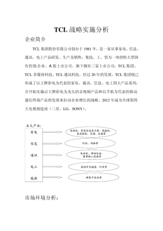TCL战略实施