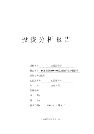 TCL集团投资分析报告