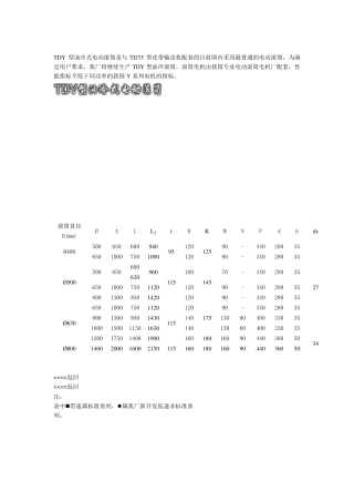 TDY型油冷式电动滚筒