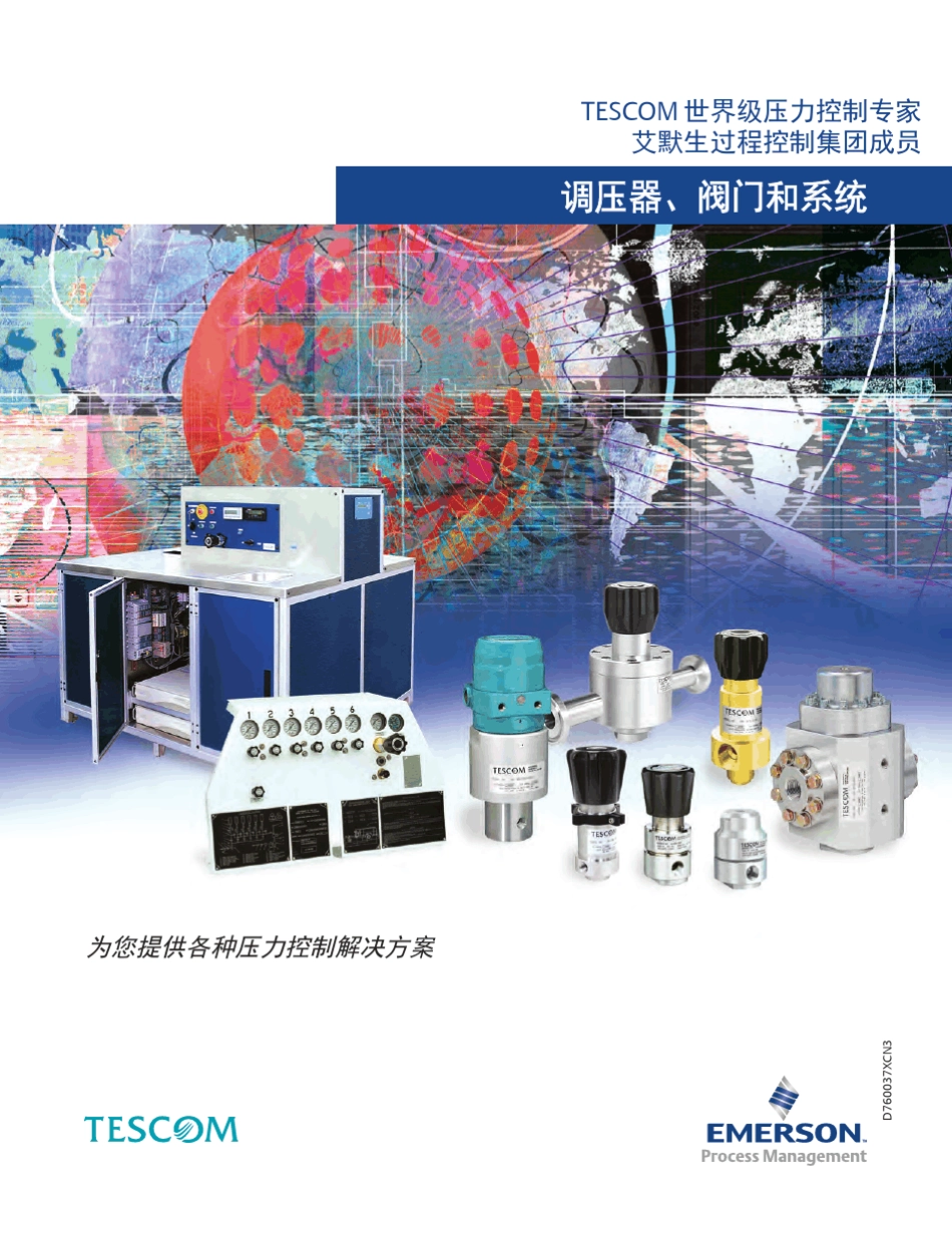 TESCOM中文样本_第1页