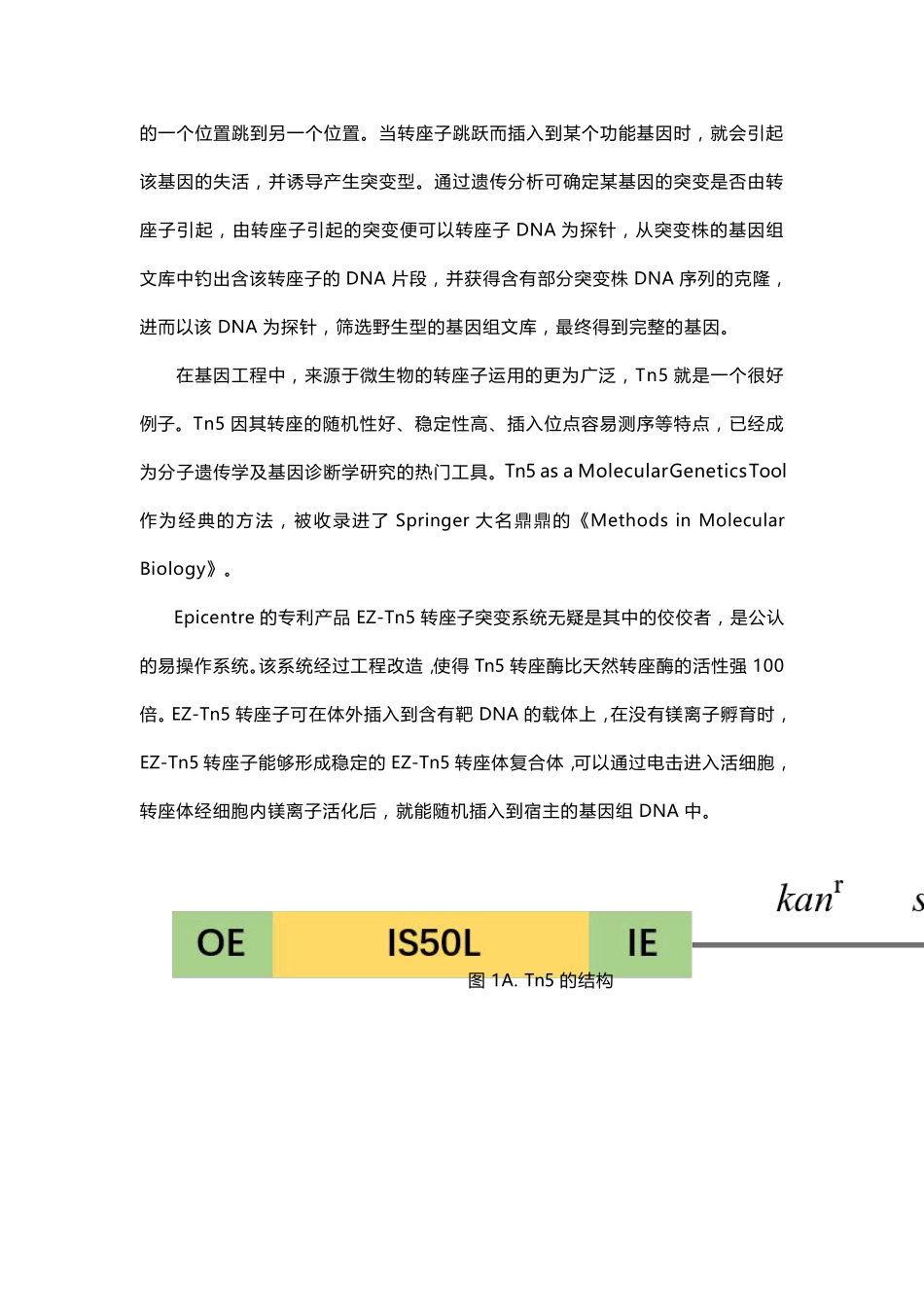 Tn5转座酶建库原理_第2页