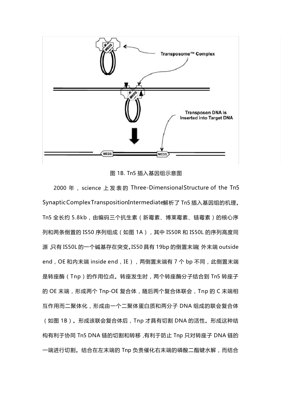 Tn5转座酶建库原理_第3页