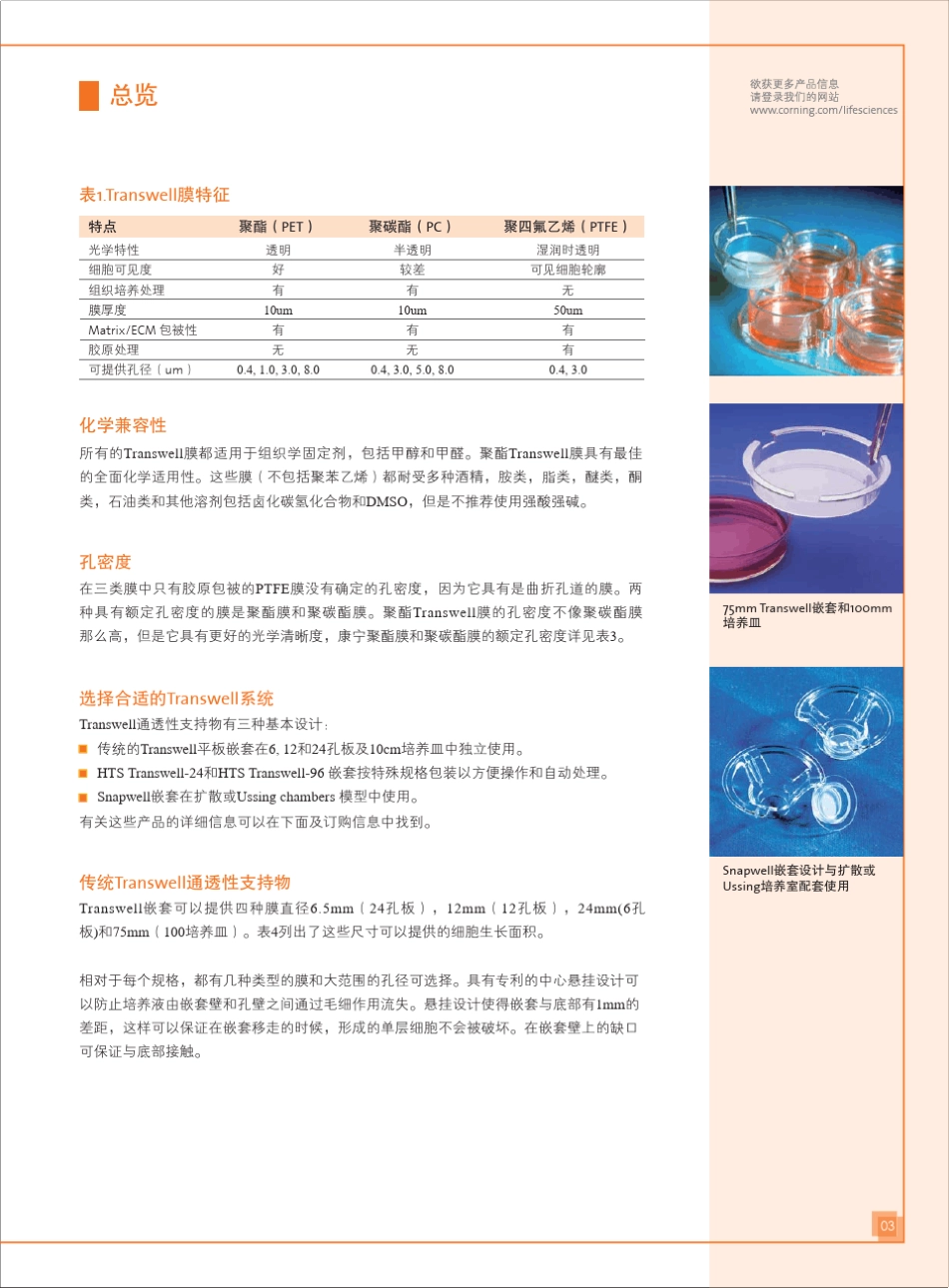 Transwell实验技术(corning)_第3页