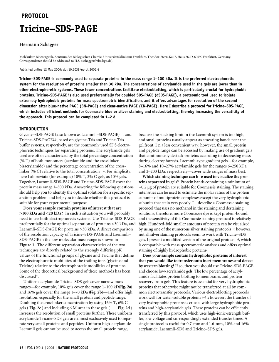 Tricine–SDSPAGE_第1页