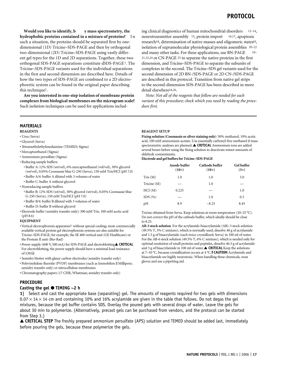 Tricine–SDSPAGE_第2页