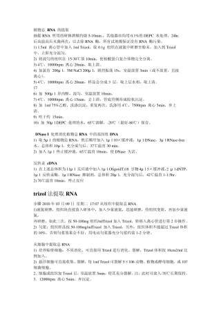 trizol法提取RNA