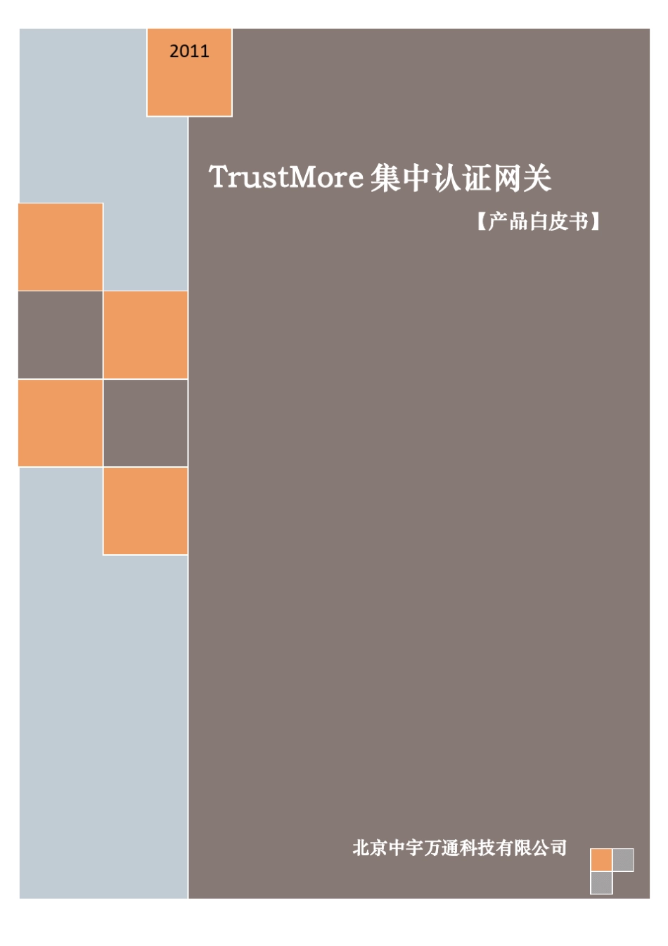 TrustMore集中认证网关.技术白皮书_第1页