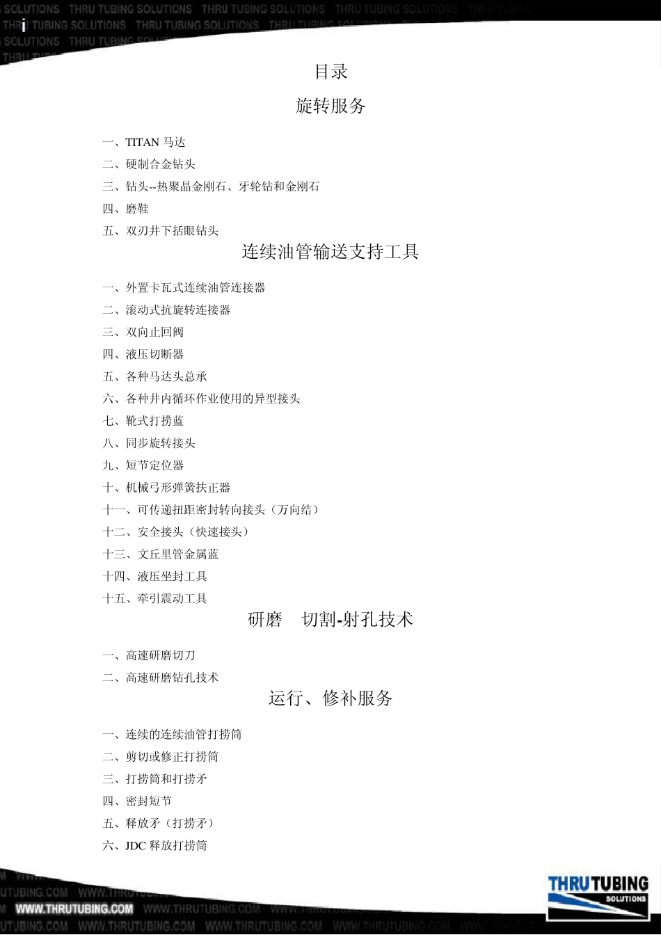 TTS产品中文目录_第2页